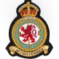 310 Squadron RAF blazer badge